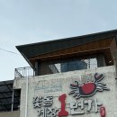 (유)동부렌트카 여수 | 여수 돌산 게장 맛집 추천 &lt;꽃돌게장 1번가&gt; 솔찬히 기가 맥힌 무한리필 게장 맛집 주말 웨이팅 후기
