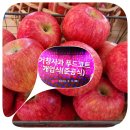 삼화축사 | 거창사과 푸드코트 지애플(G_apple) 개업식