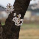 남문마을회관(경로당) 이미지