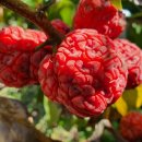 병진농장 이미지