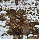 조령산자연휴양림 이미지