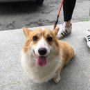 노동1리 이미지