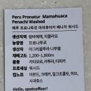 아카투르 이미지