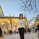 2024 제주특별자치도립 제주교향악단 신년음악회 | 2026 예술의전당 교향악축제 (제주특별자치도립 제주교향악단) 공연후기