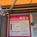 정원투어 | 울산 태화강국가정원 마차투어 후기, 40분 동안 즐기는 특별한 정원 여행