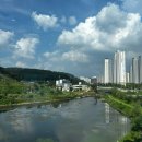 메종드 로이 이미지