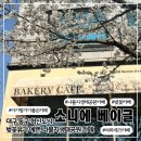 나불지공영주차장 | 대구 동구 혁신도시 나불지생태공원 벚꽃감성카페 소니에베이글 아기랑 피크닉 벚꽃 실시간