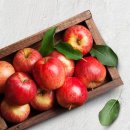 한우리영농조합법인 이미지