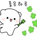 씨에이푸드 이미지