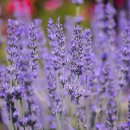 순환농장 이미지