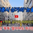 세종시 상가의 &#39;눈물&#39; 4억에서 1억대로, 급기야 9000만원대로 수 억원 &#39;뚝뚝&#39; 떨어져도 파리만, 왜? 이미지