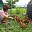 이레목장 이미지