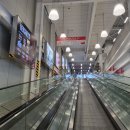 첨담기업3로1L-9 | 코스트코 1월 쇼핑후기 &amp; 할인정보