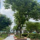 청천중학교 이미지