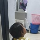 유부생각