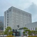 석정 | 고창 여행 숙소부터 온천, 벚꽃축제까지 한번에 즐길 수 있다고? (웰파크호텔, 석정온천 후기)