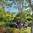 늘푸른꿈 이미지