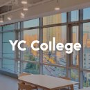 YC메디칼 이미지