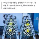 권성동 지역사무실 ‘근조화환 배달 불가’ 미스터리 이미지