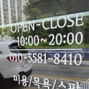 벨루스독 이미지