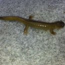 만물농장 이미지