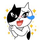 태광체육관 이미지