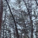 천생산길 Daum카페