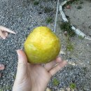 막골농장 이미지