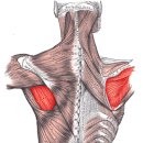 하트핏 휘트니스 이미지