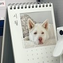 입덕공원 이미지