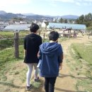 대관령 아기동물농장 이미지