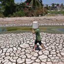 [일반] 가뭄으로 바닥 갈라진 베트남 연못 사진 봤냐 이미지