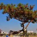 포니랜드 이미지