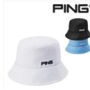 Ping 이미지