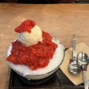 동빙고