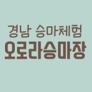 거창 오로라 승마장 이미지