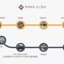 화순적벽 버스투어(적벽투어) 이미지