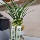 시흥누리한방병원 이미지