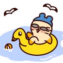 아침고요체험 살피꽃다방 이미지