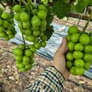 도당하우스 이미지