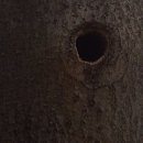 유림농장 이미지