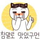 김성래피자 네이버블로그