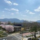 챔피언공인중개사사무소 이미지