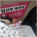 한산에이치이피 | 임신 27주 당뇨정밀검사(임당재검) 병원 후기