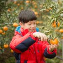 규리농장 이미지