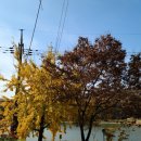 갈치저수지 이미지