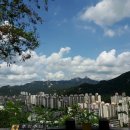 #8월 둘째주 (수원역 롯데시네마, 택시운전사, 새우상회, 오산캣츠네일, 안산자락길)