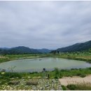 곡성-262 이미지