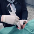 나비치과의원 이미지