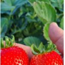 라파힐링쎈타 이미지